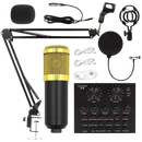 Kit youtuber podcast Com Microfone Condensador Braço Articul