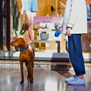 Coleira retrátil para cachorro