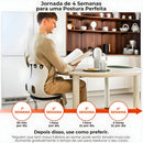 Almofada de Apoio Lombar Cadeira Correção de Coluna GG - PRE